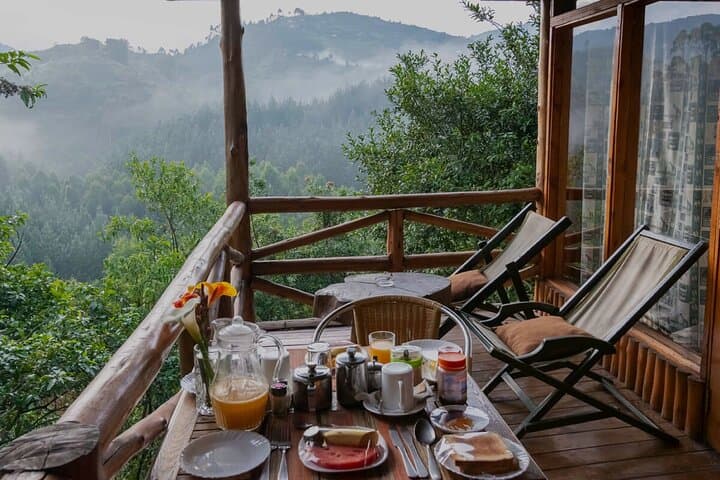 2-Day Bwindi Gorilla Trekking from Kigali — Permits, Batwa Visit & Practical Guide photo 6