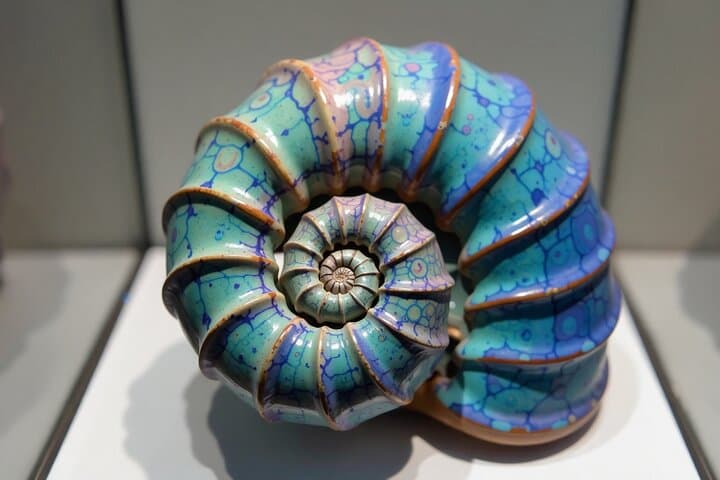Inside Museo del Mar: Private Guided Tour of Punta del Este's Ocean Curiosities photo 3