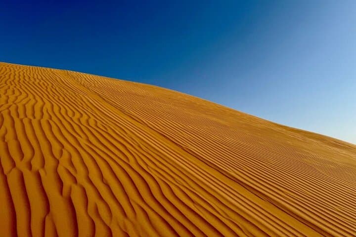 Wahiba Sands & Wadi Bani Khalid Day Tour: Swim Mountain Pools and Explore Oman’s Dunes photo 4