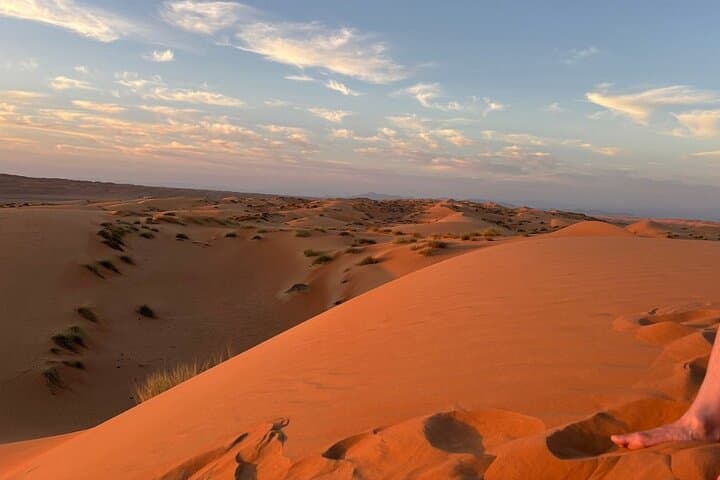 Wahiba Sands & Wadi Bani Khalid Day Tour: Swim Mountain Pools and Explore Oman’s Dunes photo 6