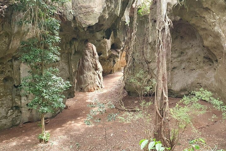 Panga ya Saidi: Explore Africa's Oldest Human Burial Site Near Kilifi