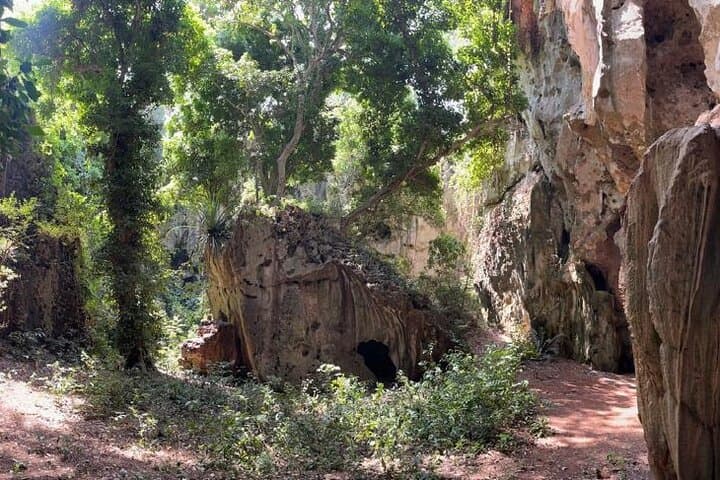 Panga ya Saidi: Explore Africa's Oldest Human Burial Site Near Kilifi photo 3