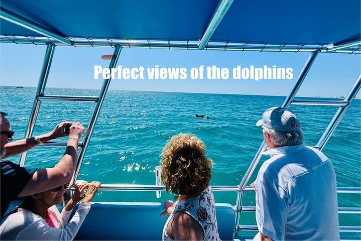 Shell Island Dolphin Sightseeing Boat Tour - 1.5-Hour Pontoon Cruise from Panama City Beach photo 2