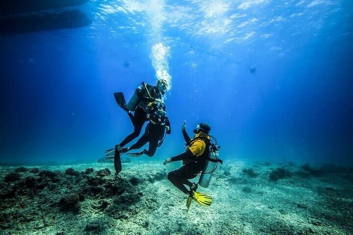 Two-Stop Red Sea Diving: Ras Mohamed & White Island from Sharm El Sheikh
