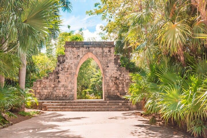 Private Guided Birdwatching Tour in Cozumel: El Cedral & San Gervasio Highlights photo 4