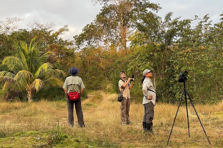 Private Guided Birdwatching Tour in Cozumel: El Cedral & San Gervasio Highlights photo 5