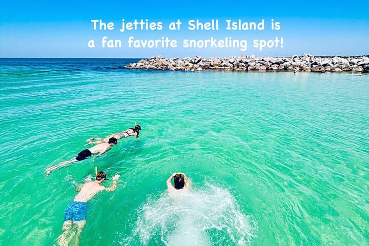 Shell Island Snorkel Tour — Panama City Beach Day Trip for Families and Wildlife