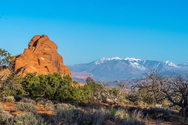 Explore Utah’s Arches National Park: Half Day Guided Tour Highlights