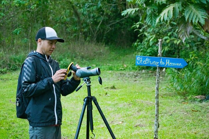 Morning Bird Watching in Arenal: Guided Early-Riser Birding at El Castillo photo 4