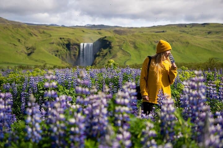 South Iceland Self-Drive: 5-Day Blue Lagoon, Waterfalls & Reynisfjara photo 4