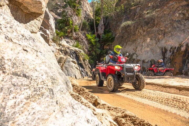 Baja Outback ATV Adventure: Cabo Sand Dune and Desert ATV Tour photo 3