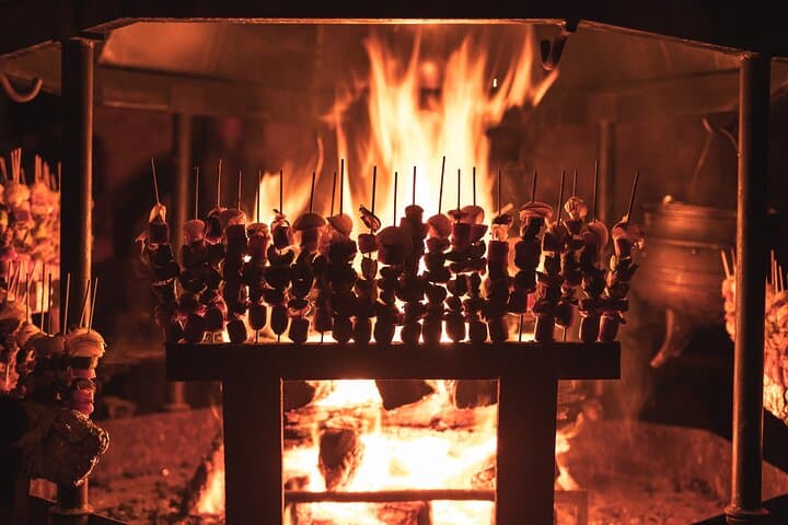 Ushuaia Night Snowmobile & Husky Sledge: Snow and Fire Dinner in Valle Tierra Mayor photo 3