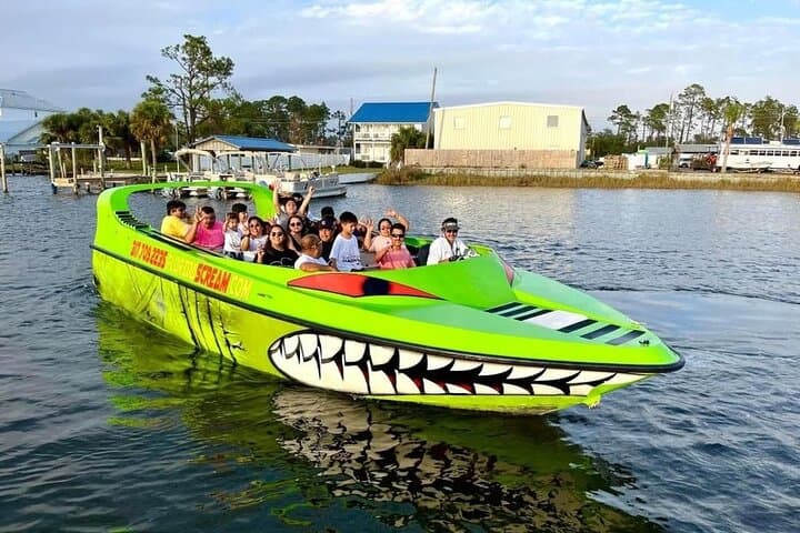 Panama City Beach Dolphin Sunset Cruise in St. Andrews Bay photo 4