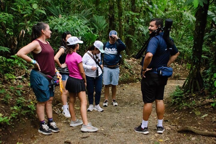 Rio Celeste Full-Day Tour: Waterfall Hike, Hot Springs & Coffee-and-Chocolate Experience photo 6