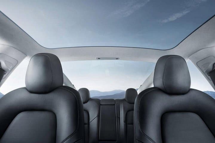 Private Full-Day Luxury Tour from Auckland — Customisable Scenic Drives & Cultural Stops photo 4