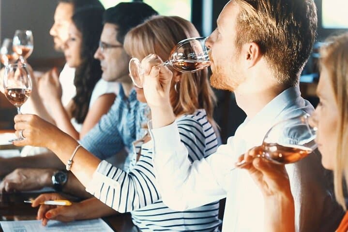 Stellenbosch Wine & Wildlife: Full-Day Cheetah Outreach, Lions and Bubbles photo 2