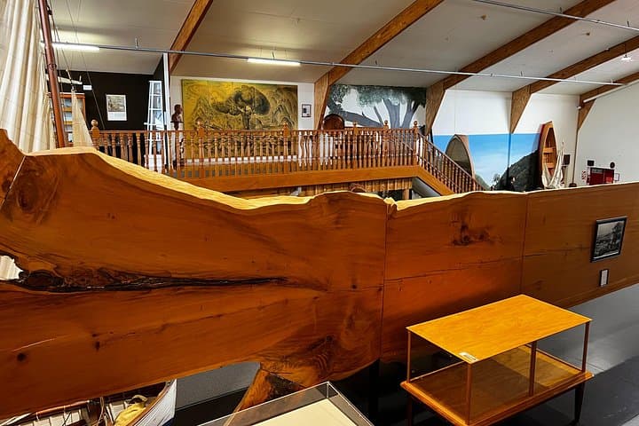 Waipoua Forest Day Tour: Visit Tāne Mahuta & The Kauri Museum from Auckland photo 3