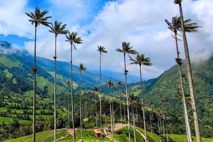 Explore Salento & Cocora Valley: Private Day Tour from Pereira or Armenia photo 4
