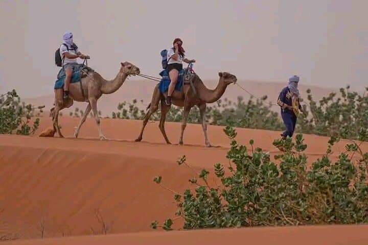 Two-Day Camel Trek Through M'Hamid's Draa Valley and Sand Dunes photo 5