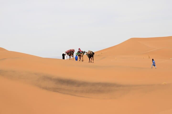 Two-Day Camel Trek Through M'Hamid's Draa Valley and Sand Dunes photo 6
