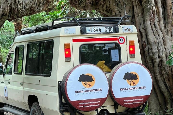 4-Day Camping Safari in Tanzania: Tarangire, Serengeti & Ngorongoro photo 6