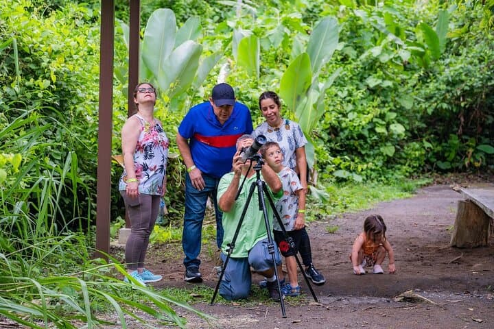 Sloth Watching Experience Arenal: Guided Sloth Tours Near La Fortuna photo 3