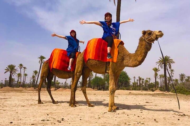 Palmeraie Marrakech Quad and Camel Ride — Half-Day Desert Adventure photo 3