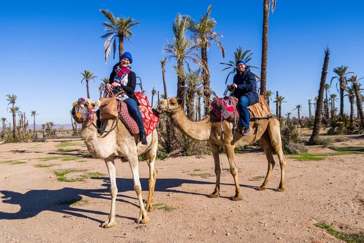 Palmeraie Marrakech Quad and Camel Ride — Half-Day Desert Adventure photo 6