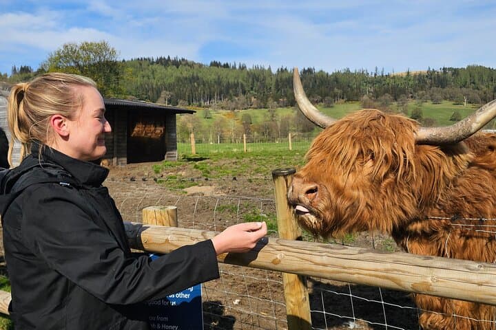Glencoe-and-Oban-private-day-tour-from-glasgow-luxury-mpv photo 2
