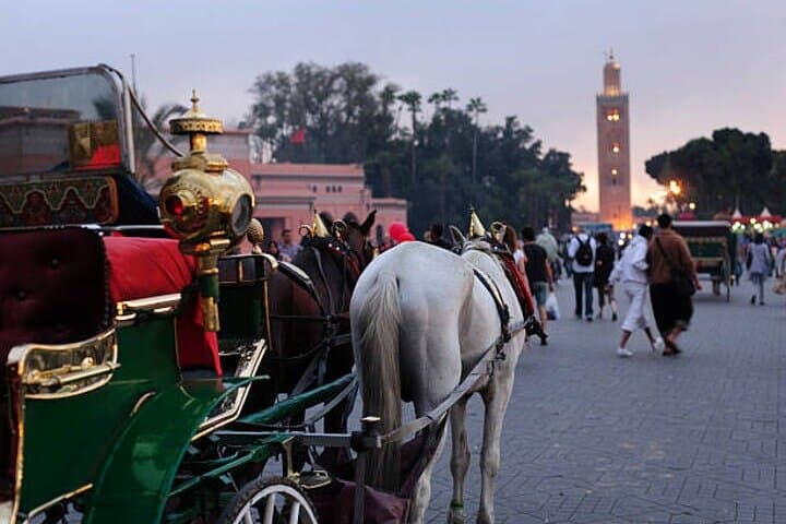 Slow Ride Along Marrakech Medina Walls: 1-Hour Horse Carriage Experience photo 2
