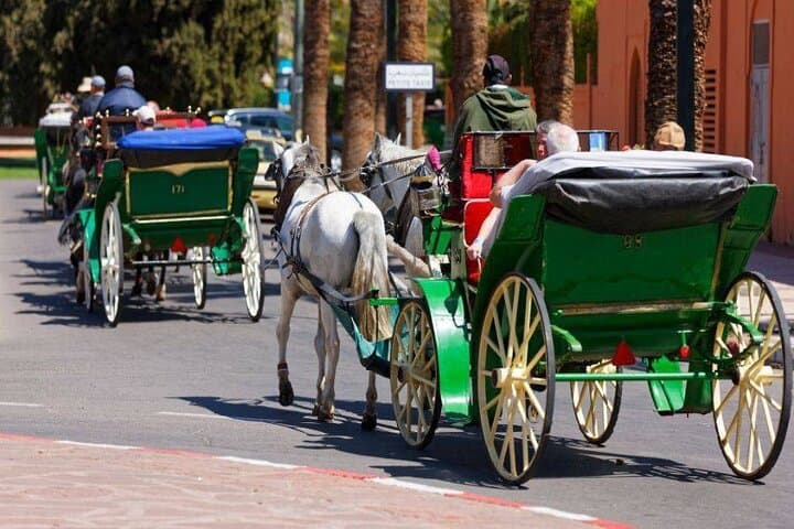 Slow Ride Along Marrakech Medina Walls: 1-Hour Horse Carriage Experience photo 3
