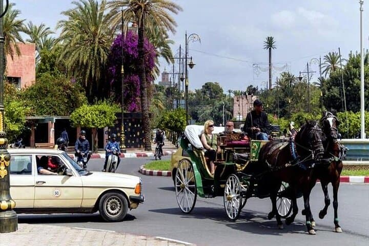 Slow Ride Along Marrakech Medina Walls: 1-Hour Horse Carriage Experience photo 4