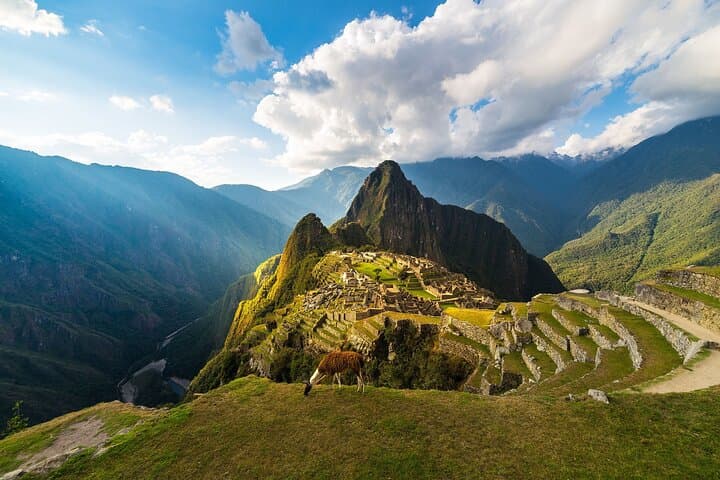 Essential Machu Picchu Full-Day Tour: Vistadome Train from Cusco