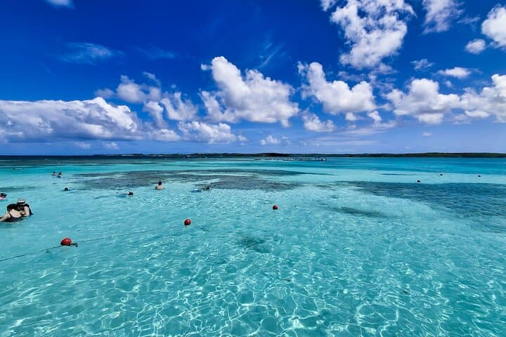 Stingray City Antigua: Swim with Stingrays on a 3‑Hour Round‑Trip Tour photo 3
