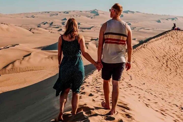 Ballestas Islands, Pisco Tasting and Huacachina Dune Buggies: Day Trip from Lima photo 4