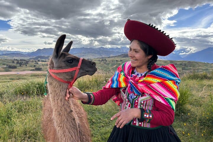 Walk with Alpacas in Peru's Sacred Valley: Half-Day Cultural Hike from Cusco