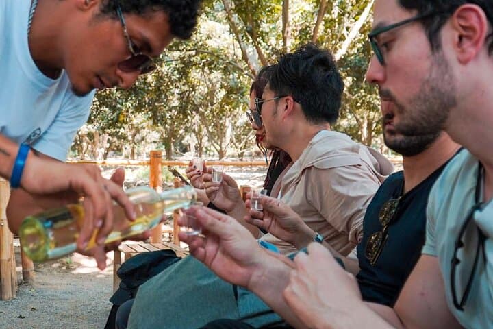 Ballestas Islands & Huacachina Day Trip: Boat Wildlife, Pisco Tasting & Dune Buggies from Lima photo 3