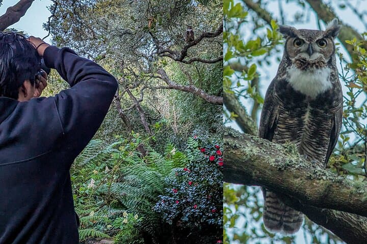 Twilight Wildlife Walk in Golden Gate Park — San Francisco Evening Nature Tour photo 1