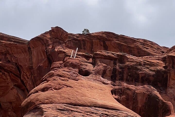 Canyon Combo Tours: 4x4 and Guided Walks Through Canyon de Chelly photo 6