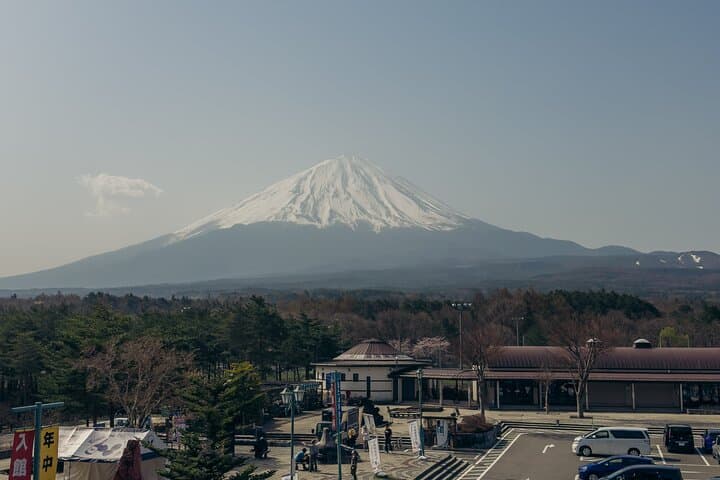 Inaka Excursions: A Quiet Day Around Mt. Fuji — Tea Fields, Shiraito Falls & Asagiri Plateau
