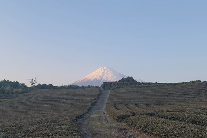 Inaka Excursions: A Quiet Day Around Mt. Fuji — Tea Fields, Shiraito Falls & Asagiri Plateau photo 6