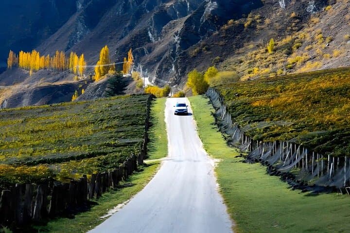 Gibbston Self-Guided Wine Drive: Audio Tasting Tour from Queenstown photo 3