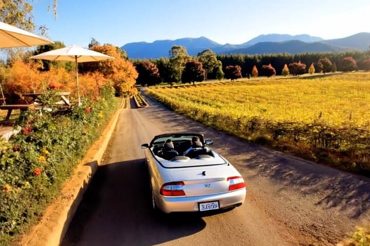 Gibbston Self-Guided Wine Drive: Audio Tasting Tour from Queenstown photo 6