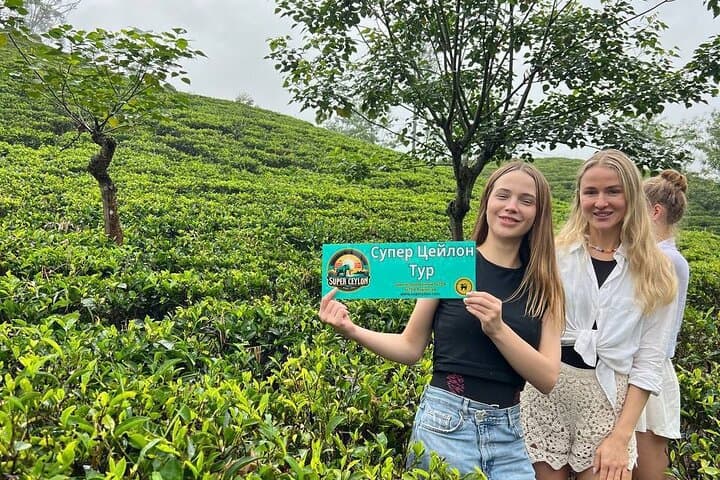 Ella Day Trip: Ravana Falls, Little Adam’s Peak & Nine Arch Bridge photo 4