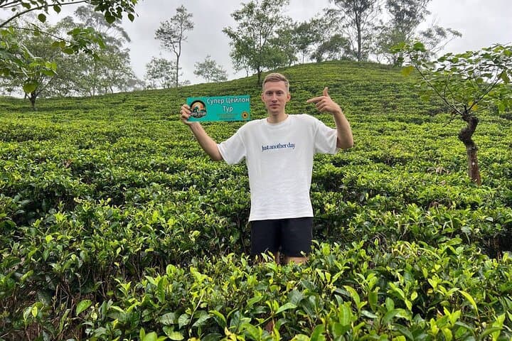 Ella Day Trip: Ravana Falls, Little Adam’s Peak & Nine Arch Bridge photo 5