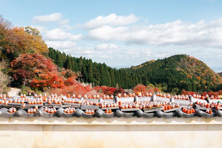 Osaka Day Tour: Katsuo-ji, Arashiyama Bamboo Grove & Nara Park photo 2