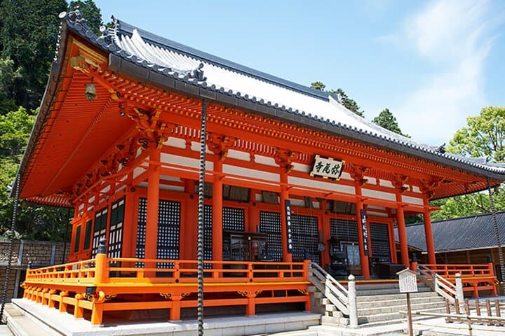 Osaka Day Tour: Katsuo-ji, Arashiyama Bamboo Grove & Nara Park photo 4