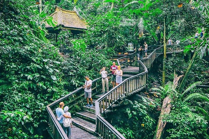 12-Day Customized Indonesia Family Tour — Borobudur, Ubud, Komodo & Snorkeling photo 3