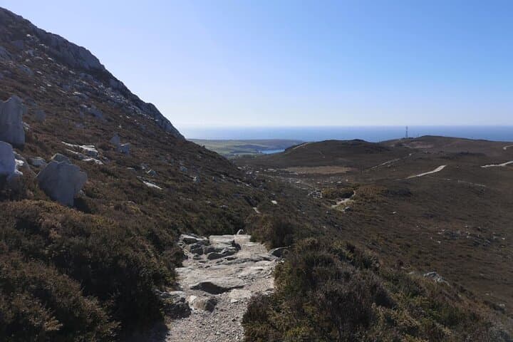 South Stack Coastal Walk — Guided Anglesey Hike with Café Stop & Maritime History photo 5