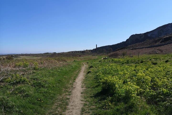 South Stack Coastal Walk — Guided Anglesey Hike with Café Stop & Maritime History photo 6